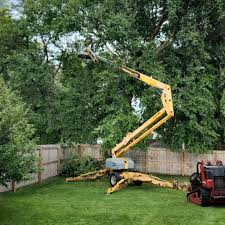 Seasonal Cleanup (Spring/Fall) in Bowling Green, MD