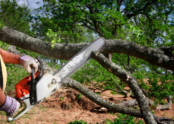 Best Utility Line Clearance  in Bowling Green, MD